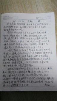 娱乐圈吃瓜作文800字,揭秘明星背后的故事  第1张